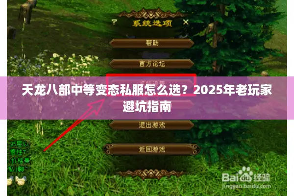 天龙八部中等变态私服怎么选?2025年老玩家避坑指南 天龙八部中等变态私服怎么选?2025年老玩家避坑指南
