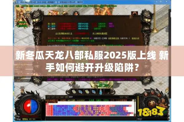 新冬瓜天龙八部私服2025版上线 新手如何避开升级陷阱？