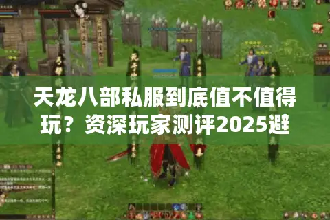 天龙八部私服到底值不值得玩？资深玩家测评2025避坑指南