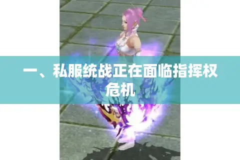 一、私服统战正在面临指挥权危机