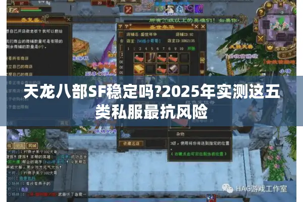 天龙八部SF稳定吗?2025年实测这五类私服最抗风险