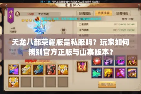 天龙八部荣耀版是私服吗？玩家如何辨别官方正版与山寨版本？