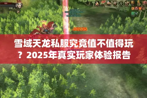 雪域天龙私服究竟值不值得玩？2025年真实玩家体验报告