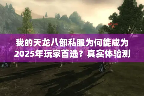 我的天龙八部私服为何能成为2025年玩家首选？真实体验测评报告