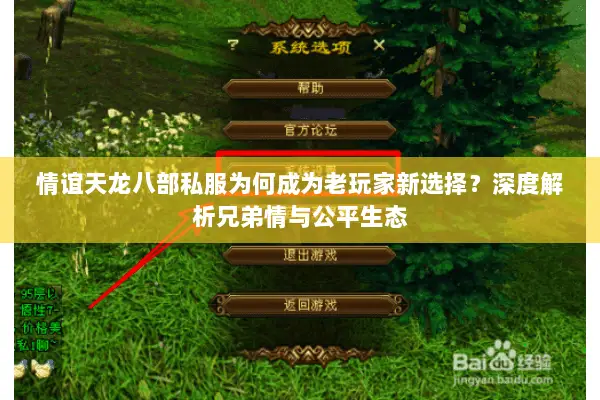 情谊天龙八部私服为何成为老玩家新选择？深度解析兄弟情与公平生态
