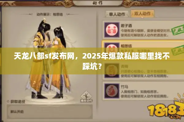 天龙八部sf发布网，2025年爆款私服哪里找不踩坑？