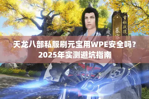 天龙八部私服刷元宝用WPE安全吗？2025年实测避坑指南