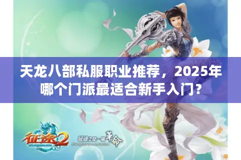 天龙八部私服职业推荐，2025年哪个门派最适合新手入门？