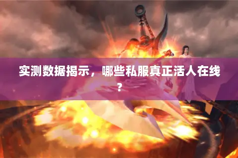 实测数据揭示，哪些私服真正活人在线？