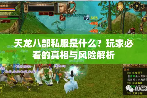 天龙八部私服是什么？玩家必看的真相与风险解析