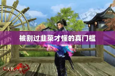 被割过韭菜才懂的真门槛