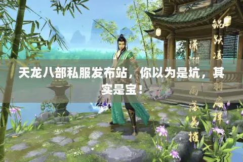 天龙八部私服发布站，你以为是坑，其实是宝！