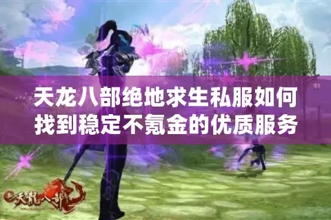 天龙八部绝地求生私服如何找到稳定不氪金的优质服务器？