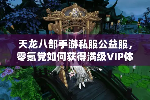 天龙八部手游私服公益服,零氪党如何获得满级VIP体验? 天龙八部手游私服公益服,零氪党如何获得满级VIP体验?