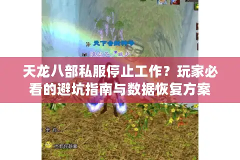 天龙八部私服停止工作？玩家必看的避坑指南与数据恢复方案