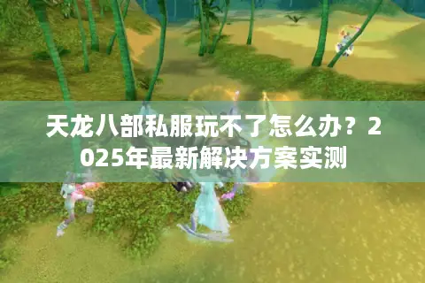 天龙八部私服玩不了怎么办？2025年最新解决方案实测