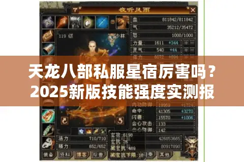 天龙八部私服星宿厉害吗？2025新版技能强度实测报告