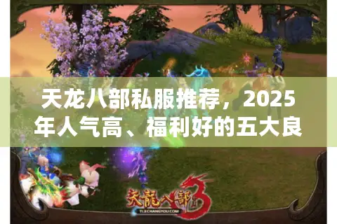天龙八部私服推荐，2025年人气高、福利好的五大良心服盘点