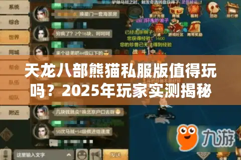 天龙八部熊猫私服版值得玩吗？2025年玩家实测揭秘真相
