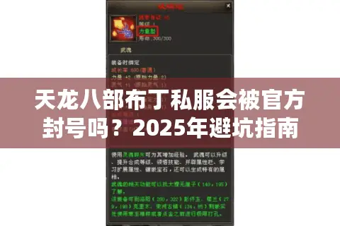 天龙八部布丁私服会被官方封号吗？2025年避坑指南