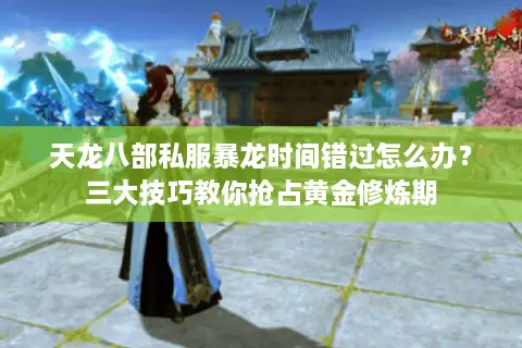 天龙八部私服暴龙时间错过怎么办？三大技巧教你抢占黄金修炼期