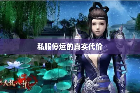 私服停运的真实代价 私服停运的真实代价