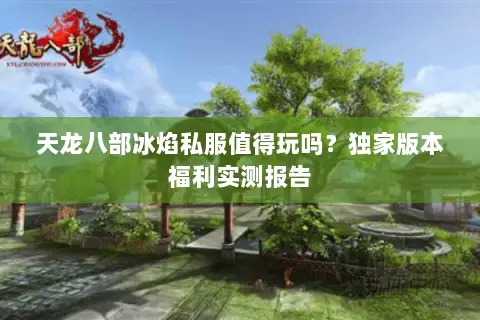 天龙八部冰焰私服值得玩吗？独家版本福利实测报告