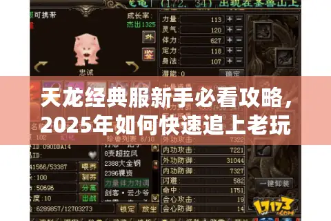 天龙经典服新手必看攻略，2025年如何快速追上老玩家进度？