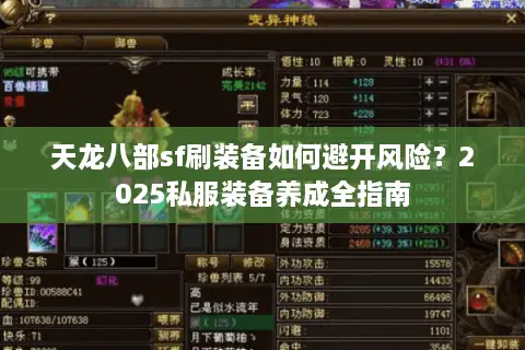 天龙八部sf刷装备如何避开风险？2025私服装备养成全指南