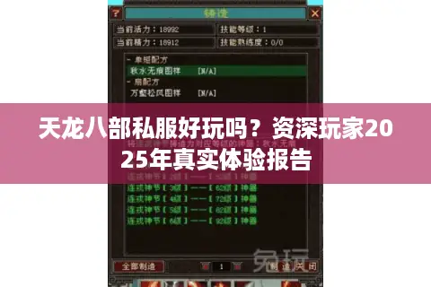 天龙八部私服好玩吗？资深玩家2025年真实体验报告