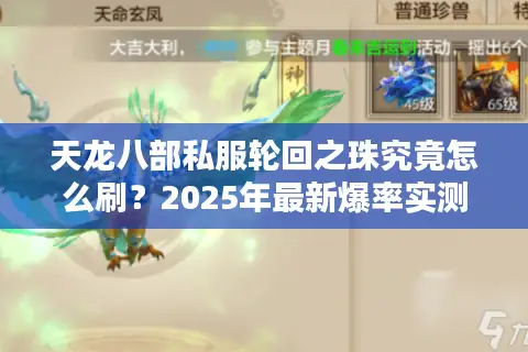 天龙八部私服轮回之珠究竟怎么刷？2025年最新爆率实测揭秘