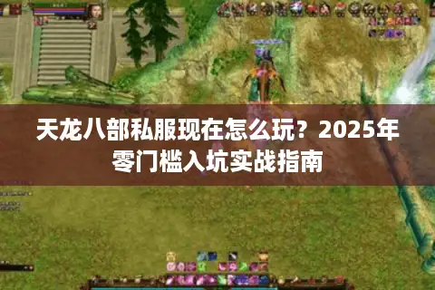 天龙八部私服现在怎么玩？2025年零门槛入坑实战指南