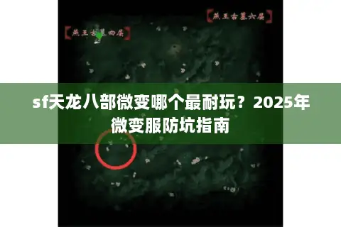 sf天龙八部微变哪个最耐玩?2025年微变服防坑指南 sf天龙八部微变哪个最耐玩?2025年微变服防坑指南