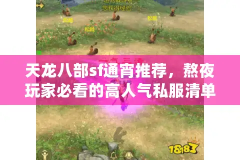 天龙八部sf通宵推荐，熬夜玩家必看的高人气私服清单