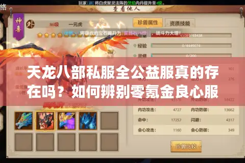 天龙八部私服全公益服真的存在吗？如何辨别零氪金良心服务器