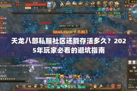 天龙八部私服社区还能存活多久？2025年玩家必看的避坑指南