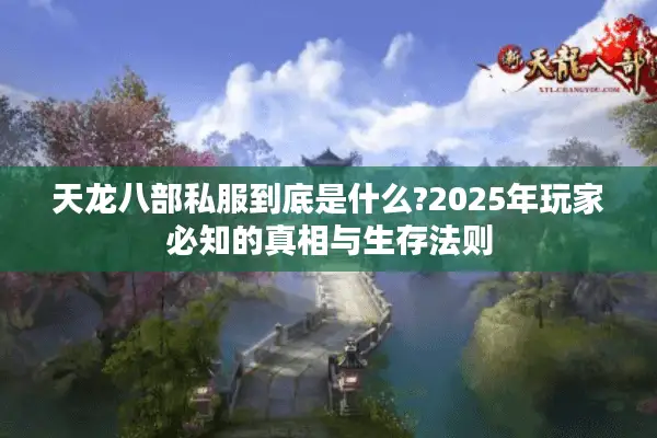 天龙八部私服到底是什么?2025年玩家必知的真相与生存法则