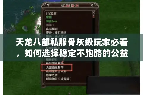 天龙八部私服骨灰级玩家必看，如何选择稳定不跑路的公益服务器？