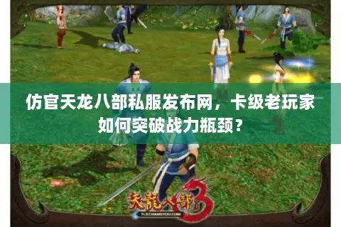 仿官天龙八部私服发布网，卡级老玩家如何突破战力瓶颈？