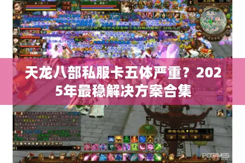 天龙八部私服卡五体严重？2025年最稳解决方案合集