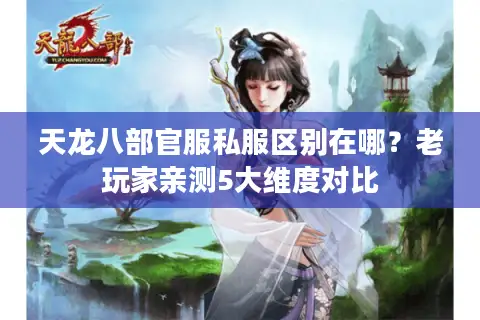 天龙八部官服私服区别在哪?老玩家亲测5大维度对比 天龙八部官服私服区别在哪?老玩家亲测5大维度对比