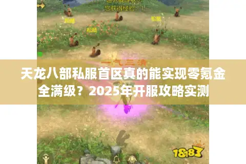 天龙八部私服首区真的能实现零氪金全满级?2025年开服攻略实测 天龙八部私服首区真的能实现零氪金全满级?2025年开服攻略实测