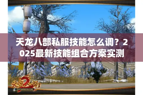 天龙八部私服技能怎么调?2025最新技能组合方案实测 天龙八部私服技能怎么调?2025最新技能组合方案实测