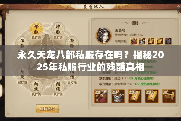 永久天龙八部私服存在吗?揭秘2025年私服行业的残酷真相 永久天龙八部私服存在吗?揭秘2025年私服行业的残酷真相