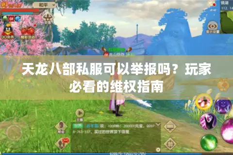 天龙八部私服可以举报吗？玩家必看的维权指南