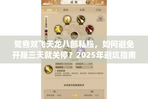鸳鸯双飞天龙八部私服，如何避免开服三天就关停？2025年避坑指南