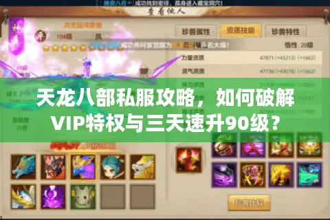 天龙八部私服攻略，如何破解VIP特权与三天速升90级？
