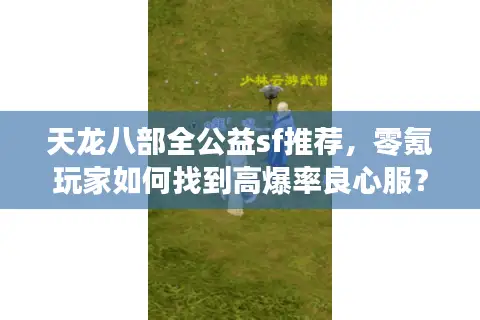 天龙八部全公益sf推荐，零氪玩家如何找到高爆率良心服？