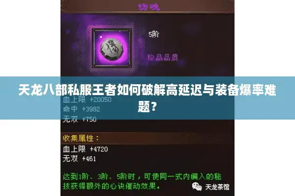 天龙八部私服王者如何破解高延迟与装备爆率难题？