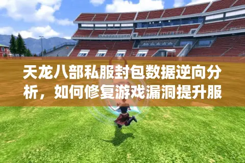 天龙八部私服封包数据逆向分析，如何修复游戏漏洞提升服务器安全？